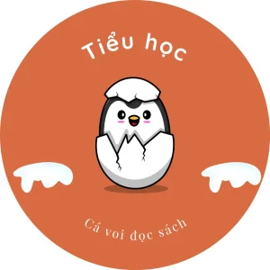 Tiểu học